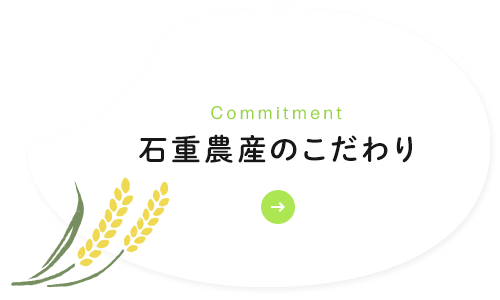 bnrhalf_commitment_bg
